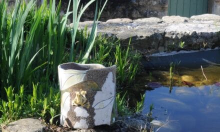 LE TEMPS DES JARDINS A VALAURIE (DRÔME PROVENCALE)